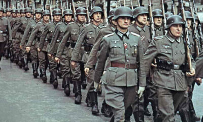 polemiche per l'articolo di Massimo Fini sul comportamento del'esercito tedesco durante l'occupazione in Italia