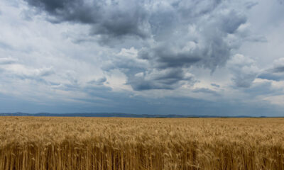 fallita la trattiva in Turchia sullo sblocco del grano ucraino