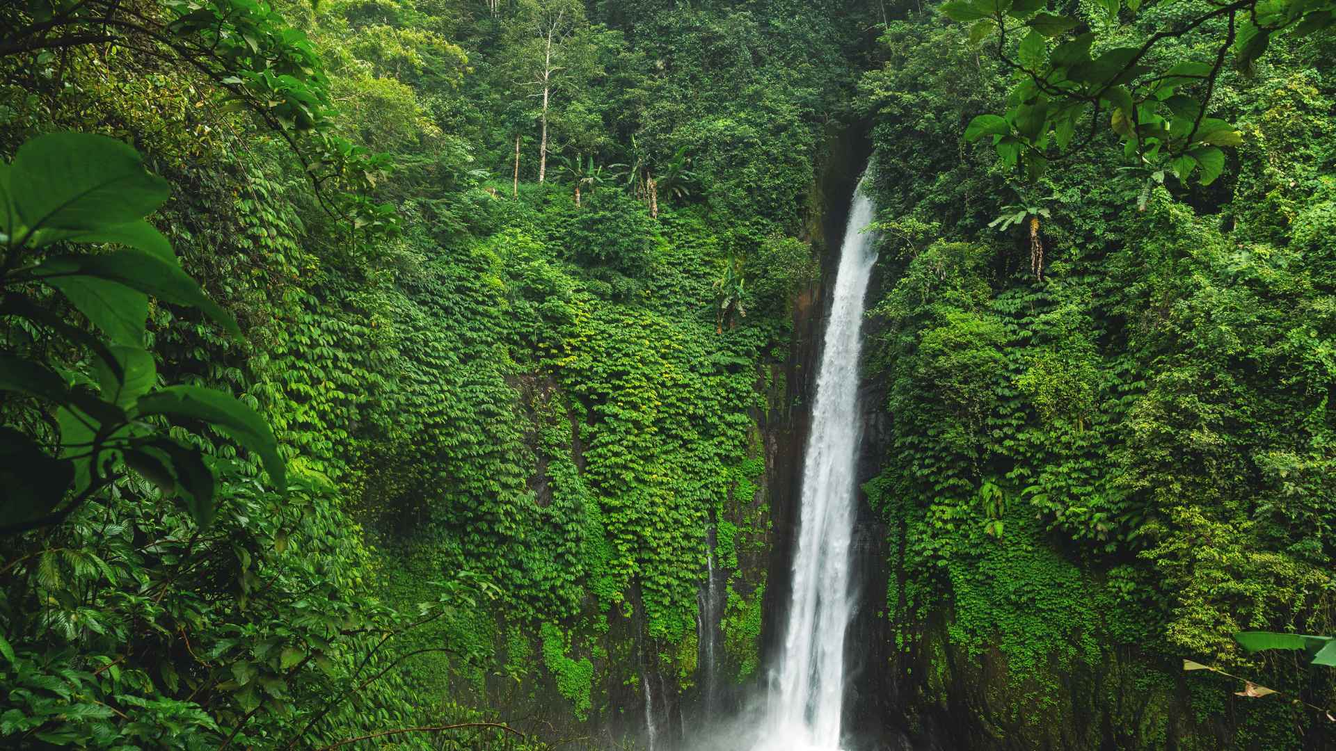 turista italiano morto a bali indonesia